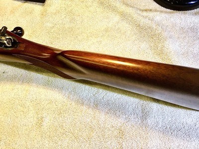 CZ 453 17HMR Varnmit with Fluted Barrel - Image 13 of 13
