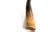 SMALL ANTIQUE CARVED POWDER HORN WITH SNAKES - 6 of 7
