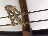 Antique Chinese Pellet Crossbow - 8 of 14