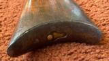 Winchester Model 1876 With Express Sight - 3 of 19