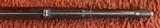 Remington Rolling Block Military Rifle In .43 Spanish Caliber - 15 of 15