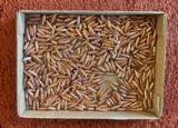 Approx. 4007.62-308 147 grain FMJ bullets for reloading in your cases - 1 of 1