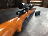 Remington Model 788 Carbine - 7MM-08 - Bushnell Sport Waterproof Scope 6X40 Fixed - Superb Condition - 13 of 19