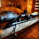 Weatherby Dangerous Game Mark V - .240 Weatherby Magnum - Swarovski Z6i 2.5-15x44 P HD - New Rifle - Range Certified Sub MOA - 1 of 22