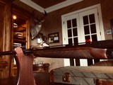 Winchester Model 23 Classic- 28ga - 26” - Baby Frame - ANGELO BEE - Winchester Case - Brochure - Upgraded Gold Birds - 20 of 21