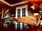 Browning Superposed Pointer - 20ga - 28” - 3” - M/F - M. Magis Engraved - 99% Condition - Ultra Fine Collector Grade Rare Pointer - 7 of 19
