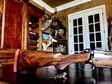 Dakota Arms Model 76 Custom Engraved .458 LOTT - As New - Heavily Engraved Gold Cape Buffalo - Highest Grade California Walnut Stock - 5 of 25