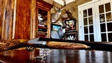 Perazzi DHO SXS 12ga Live Pigeon Style - 28” - IC/IM - DT - English Grip - Galeazzi Master Engraver - Finest Maker’s Case Cover and Accessories - 18 of 25