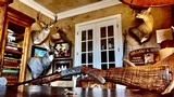 Browning “FN” Takedown .22 Short - Angelo Bee Engraved Masterpiece - 99% - TOP LOADER - Rarest of Takedown Models - Fine Walnut Fine Gold Inlays - 8 of 22