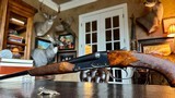 Winchester Model 21 Skeet Grade 20ga - 28” - WS1 WS2 - Cody Winchester Letter - The Ultimate Grouse Gun Condition - 16 of 17