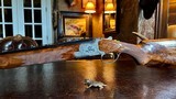 Browning Superposed Diana 20ga - 3” - 26.5” - 99% Condition Tight Action AS NEW - IC/M - ca. 1976 - MD Franco Engraved - 10 of 23