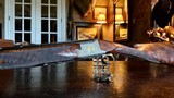 Browning Superlight Presentation P2R - 12ga - 26.5” - IC/M - Grey/Gold - Oil Finish - Very Beautiful Example of Presentation Era - 5 of 22