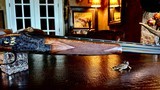Browning Superlight Presentation P4W 410ga - Blue & Gold - JM Debrus Engraved - M/F - 26.5” - Oil Finish - Checkered Butt - 11 of 20