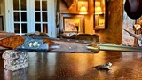 Browning Superposed 410ga Angelo Bee Custom Exhibition - 28” - IC/M - RKLT - 99% - Heavy Gold Inlays - Heavily Stippled Detailed Background - 15 of 19