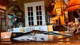 Henry Repeating Arms Go. GOLDEN BOY TEXAS TRIBUTE EDITION .22 S/L/LR CALIBER .22 S/L/LR MODEL H004TX - 20 of 23