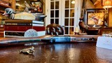 BROWNING SUPERLIGHT CITORI 410GA - 28” BARRELS (NOT 26.5”) - 3” SHELLS - FIXED M/F - ca. 1982 - 99% CONDITION - STIFF LIKE NEW - BROWNING NEW CASE - 10 of 25