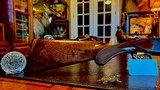 BROWNING GRAN LIGHTNING 16GA - 28” - INVECTOR - M / F - PRISTINE 99% IN BROWNING CANVAS LEATHER FITTED CASE - 5 of 25