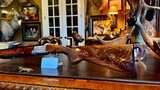BROWNING GRADE V TYPE II 20GA - 28” - M / F - AS NEW 99.5% - CA. 1981 - WALNUT FOR DAYS - AS BEAUTIFUL GRADE V AS EVER!! - 7 of 25