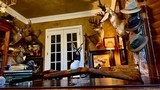 BROWNING BELGIUM CUSTOM SHOP SUPERLIGHT 20GA - 26” - IC/IM - 99% ORIGINAL CONDITION - MAKER’S CASE - GORGEOUS FRENCH WALNUT - M. SECCI ENGRAVED - 3 of 23