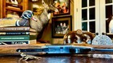 BROWNING BELGIUM CUSTOM SHOP SUPERLIGHT 20GA - 26” - IC/IM - 99% ORIGINAL CONDITION - MAKER’S CASE - GORGEOUS FRENCH WALNUT - M. SECCI ENGRAVED - 19 of 23