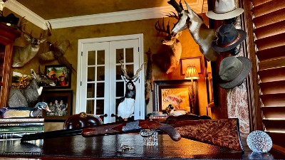 BROWNING BELGIUM SUPERPOSED PIGEON 28GA - 28” - RKLT - INCREDIBLE BLACK FEATHERCROTCH WALNUT - MIDDLE AND END IVORY BEADS - Image 4 of 16