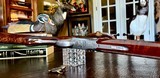 BROWNING BELGIUM SUPERPOSED PIGEON 28GA - 28” - RKLT - INCREDIBLE BLACK FEATHERCROTCH WALNUT - MIDDLE AND END IVORY BEADS - 6 of 17