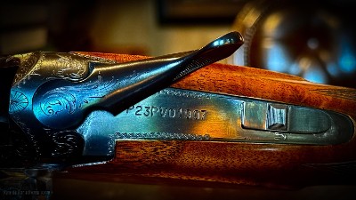 BROWNING SUPERPOSED SUPERLIGHT 20GA “1 0F 227” SPECIAL ORDER HAND ENGRAVED by d. Septon GUNS BY KOESSL AND JAQUA IN EARLY 1980’s - ca 1985 - Image 13 of 14