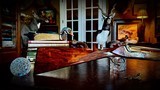 MERKEL 2000 CL 28GA - 28” - SOLID RIB OVER UNDER - TURKISH WALNUT - SINGLE TRIGGER - THE FINEST ENGINEERING IN THE SHOTGUN WORLD - HAND ENGRAVED - 6 of 16