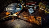 MERKEL 147 EL 20GA 28” IC / M - 99% - GREEN MERKEL CASE - FINEST EURO WALNUT - DOUBLE TRIGGER - REMARKABLE LIGHTWEIGHT GAME GUN - 2 of 20