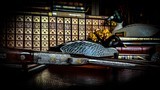 BROWNING SUPERLIGHT GRADE VI 20GA CITORI 99% - 26” - MADE 1986 - INVECTOR - ESSENTIALLY FLAWLESS - EXHIBITION BLACK FEATHERCROTCH WALNUT - 17 of 20