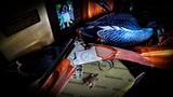 Winchester 101 Pigeon XTR Grade Featherweight 12ga - IC/IM - AS NEW - Original Paperwork Box & Label - English Stock - True Collector Grade  - 17 of 25