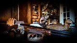 BROWNING GRADE VI 28GA - 26” - INVECTOR - AS NEW - FLAWLESS - UNFIRED - BLACK FEATHERCROTCH WALNUT - GORGEOUS PRISTINE 28GA HIGH GRADE - 11 of 17