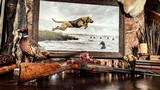 BROWNING SUPERPOSED SUPERLIGHT 20ga 1 of 227 built — 99% - gorgeous