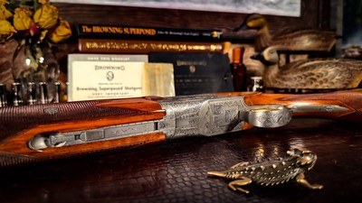 BROWNING SUPERPOSED POINTER 20GA - M/F - 28” ca. 1960 - 99% CONDITION - MAGIS ENGRAVED -FINE RARE SHOTGUN GRADE LOW PRODUCTION - UNTOUCHED ORIGINAL - Image 17 of 24