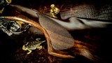 BERETTA 687 SILVER PIGEON V 410GA 28” 99% CONDITION - BERETTA FACTORY CASE WITH ACCESSORIES AND CHOKES - THE QUAIL GUN - 10 of 16 BERETTA 687 SILVER PIGEON V 410GA 28” 99% CONDITION - BERETTA FACTORY CASE WITH ACCESSORIES AND CHOKES - THE QUAIL GUN - 10 of 16