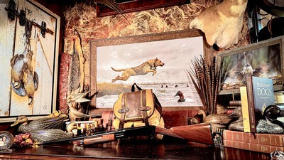 BROWNING BPS 20GA 3” IN FACTORY BOX - IC M F - 22” BARREL - HIGH CONDITION - NICE WALNUT - GROUSE QUAIL WATERFOWL DO IT ALL SHOTGUN