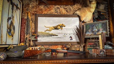 BERETTA ORVIS UPLANDER 28GA 26” LEFT HANDED “CUSTOM” IC/M FIXED - HIGH CONDITION - SPLENDID EURO WALNUT - MOST BEAUTIFUL UPLANDER AS I HAVE EVER SEEN - Image 7 of 22