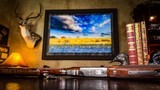 BROWNING GRADE III 28GA CITORI LIGHTNING 26” INVECTOR ca. 1998 - 99% - REMARKABLE FIDDLEBACK BLACK WALNUT - NEW BROWNING CASE - 15 of 17