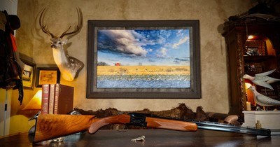 BROWNING CITORI LIGHTNING 410GA 28