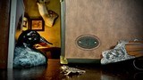 BROWNING CUSTOM EXHIBITION 410GA 28