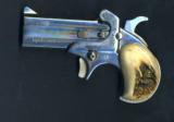 American Derringer #1
45 Colt
2-1/2 - 2 of 3