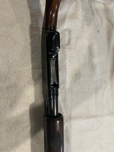 Winchester Y model 12, 12ga. Trap - Image 5 of 12