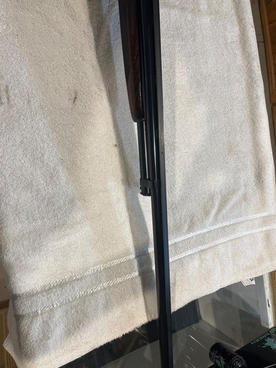 Winchester Y model 12, 12ga. Trap - Image 10 of 12