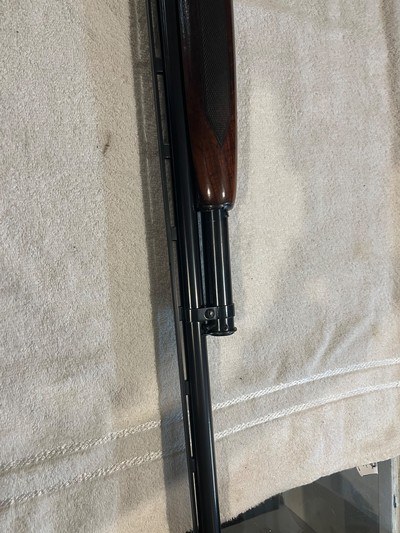 Winchester Y model 12, 12ga. Trap - Image 7 of 12