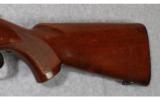 Winchester Model 70 (Pre-64) .220 Swift - 8 of 8