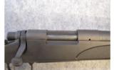 Remington 700 SPS Varment
.204 Ruger - 2 of 9