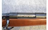 Weatherby Vanguard
.300 WBY MAG - 9 of 9