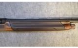 Benelli Raffaello Lord ~ 20 GA ~ NEW - 4 of 9