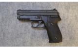 Sig Sauer P-229 ~ .40 S&W - 2 of 2