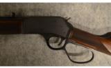 Henry Big Boy Steel~.45 Colt - 7 of 9